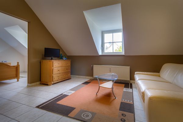Hotel Dübener Heide (Zschepplin)